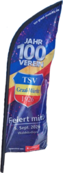 fahne-100-tsv